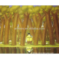 fat tree Famous Artist Fernando Botero oil painting 57681